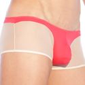 Boxer Petit Q Chaumont Corail