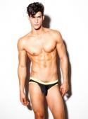 Silhouette Brief