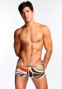 Shorty de Bain Deco