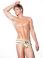Portofino Swim Brief