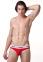 Freedom Brief N2N