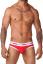 Freedom Brief N2N