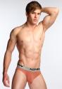 Bikini Mojave