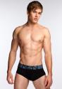 Luxe Trunk